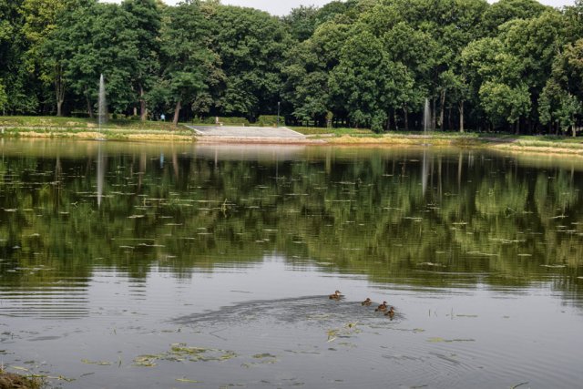 Park im. Książąt Sanguszków