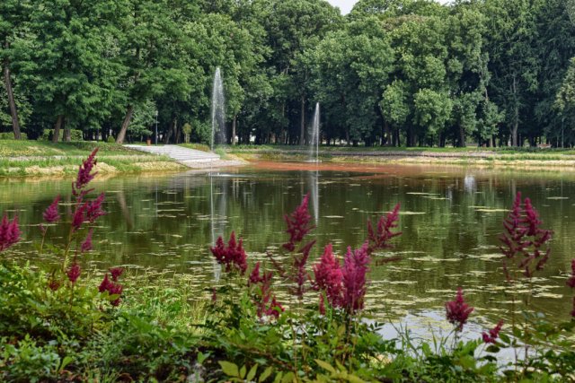 Park im. Książąt Sanguszków