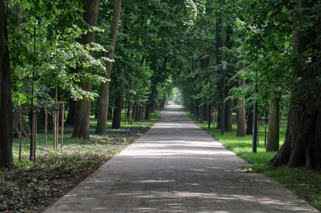 Park im. Książąt Sanguszków